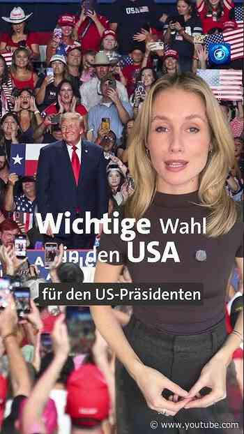 Warum die Zwischenwahlen in den USA am 3. November auch für Deutschland wichtig sind #midterms