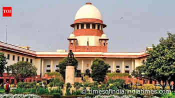 No EC nod needed for voter to sue candidate over false information: Supreme Court