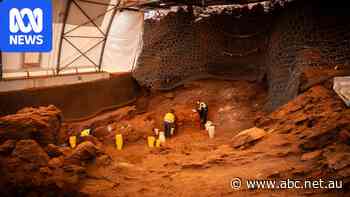 Extraordinary discoveries emerge from the ruins of Juukan Gorge
