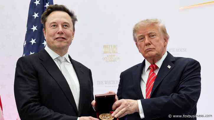 Trump praises Elon Musk as a 'genius' while defending him against potential Democratic probes