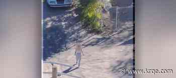VIDEO: BCSO drone helps deputies find missing child