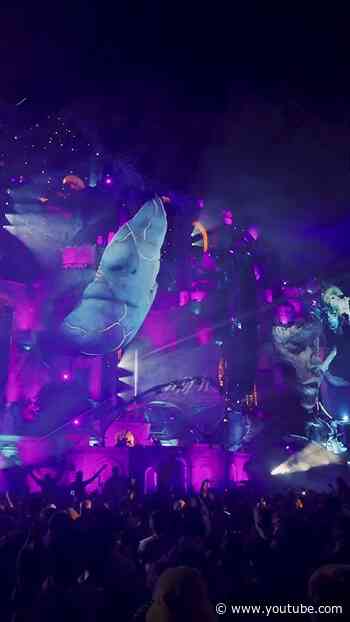 Chasing magical moments, one beat at a time.