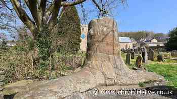The historic North East market town with giant stepping stones and 320 million year old fossil tree