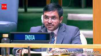‘Prioritise welfare over military directives’: India raps Pak on minority rights at UN