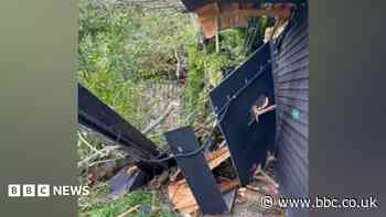Tree falls on RSPCA facility during Storm Austen