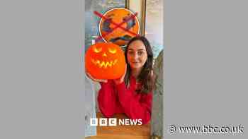 Top tips for making your pumpkins last longer