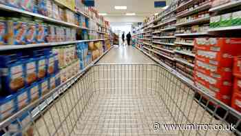 Supermarket ready meals, snack bars and hairdryer urgently recalled — 'do not use'