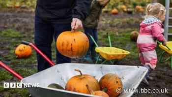 Ideas for fun and low-cost half-term activities in the South