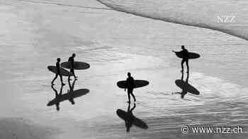 Toxische Männlichkeit in der hippen Szene – der Surfsport erlebt seinen #MeToo-Moment