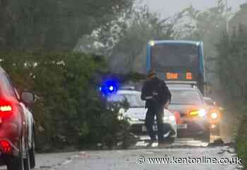 Fallen trees block Kent roads and railway lines as Storm Boelo brings flood warning