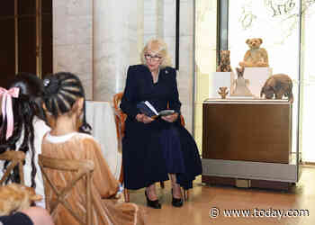 Queen Camilla, Winnie-the-Pooh and the Rumor that Caused the British Embassy to Speak Up