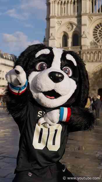 Gumbo, Louis & Lily Take On Paris #saints #nfl #shorts