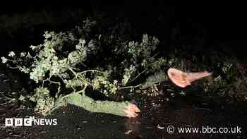Roads blocked by trees and flooding as storm hits