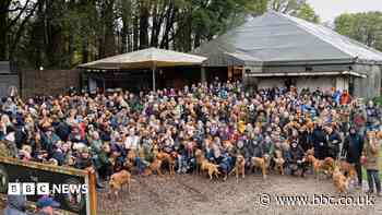 More than 250 Labradors gather at Clarkson's pub