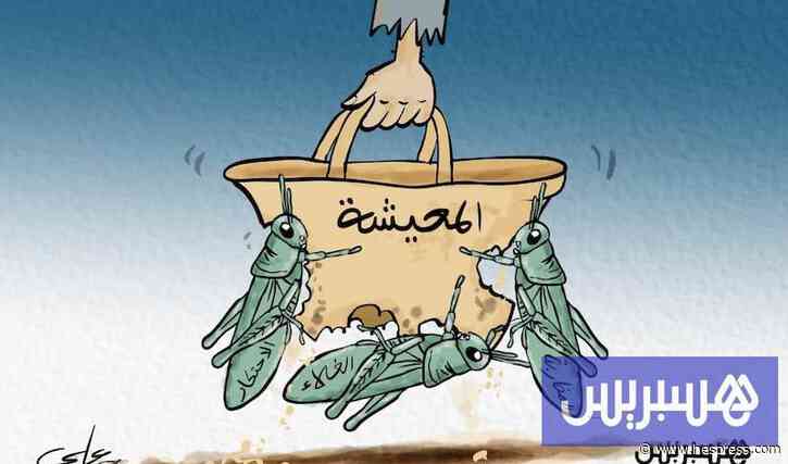 من الفلاح إلى المستهلك .. هل تُنهي الشركات الجهوية أزمة المضاربة؟
