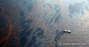 Oil Spills Wreak Havoc on the Bottom of the Ocean, Even a Decade Later