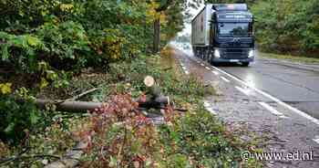 Bomen op de rijweg, afgebroken takken en wateroverlast: ook storm Boelo houdt brandweerzones bezig