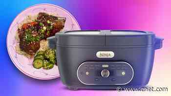 Is the Ninja MultiPot the Kitchen Appliance You Need, or Just the One You Want?