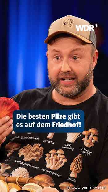 Warum dieser Pilzexperte an den ungewöhnlichsten Orten sucht | Kölner Treff | WDR #shorts