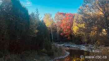 Reflections on the water: Enjoy these photos from around New Brunswick