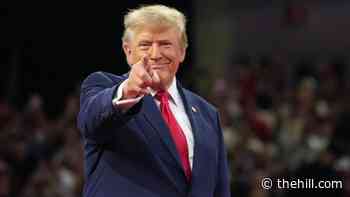 Trump calls Murkowski a 'disgrace' to Alaska, criticizes ranked choice voting