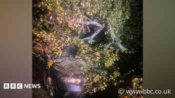 Storm Boleo sees trains cancelled and fallen trees