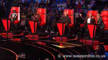 Every act in The Voice UK final as fans hail Sir Tom Jones' 'sensational' pick