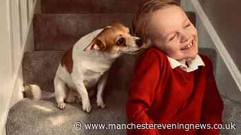 Dismissed by professionals as a fussy eater, seven-year-old Alfie died from severe malnutrition