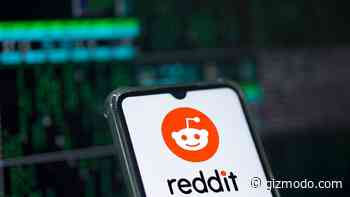 ‘Tokens Are Cheap’: Open Source Subreddit Bans AI