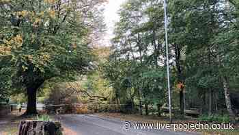 Storm Boelo chaos across Merseyside with blocked roads, rail lines and flood alerts