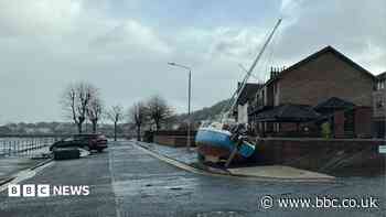 Man killed by falling tree as Storm Boelo batters Scotland
