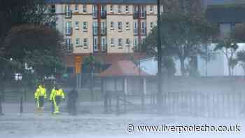 Man killed by falling tree as Storm Boelo brings strong wind across UK