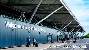 Stansted Airport power cut causes 'two-hour queues' and baggage delays
