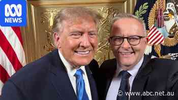 Albanese faces stark choice if Trump escalates Iran war