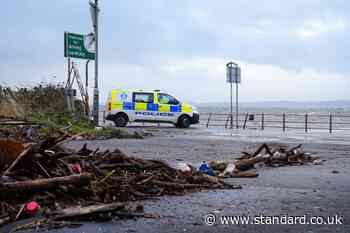 Man dies after being hit by falling tree during Storm Boelo