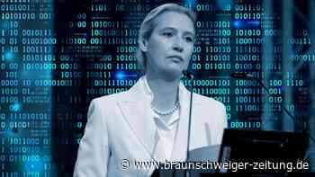 Illegale Parteispenden: Wusste Weidel mehr, als sie zugibt?