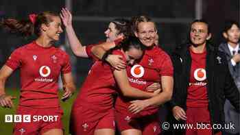 Why winning ugly is just as important for Wales