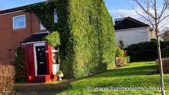 Liverpool nan says 'it's been quite a day' as 46-year-old 'trademark' destroyed in Storm Boelo