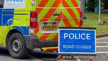 Teenage boy dies in crash after police pursuit as 17-year-old arrested