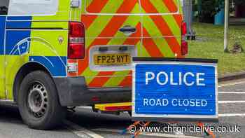 Teen dies and 17-year-old arrested after crash following police pursuit