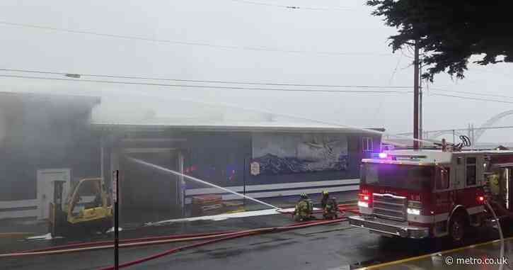 Ammonia tank explodes sending toxic fumes spreading over Oregon town