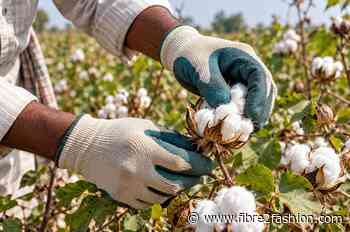 India's ICAR-CIRCOT signs cotton-picking glove technology MoU