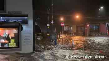 Two men are killed by falling trees as Storm Boelo causes chaos across the UK: More than 161,000 are without electricity as winds 85mph batter Britain