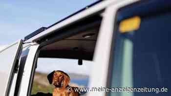 Deutschlands hundefreundlichster Campingplatz liegt in Bayern