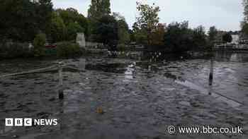 Carshalton ponds drain for second time this year