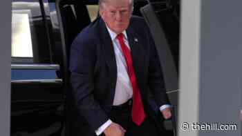 Trump says El-Sayed should have to pass through metal detector to enter Senate