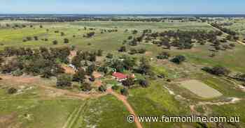 Productive farming and grazing operation with fertile loam soils | Video