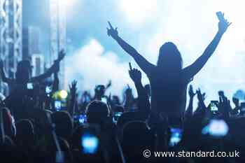 Arctic Numpties to Daft Funk: Fans priced out of concerts turn to tribute acts