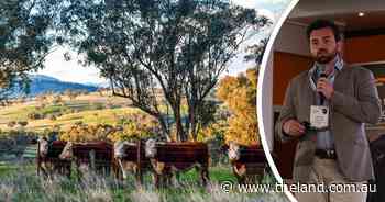 The $375 million beef opportunity: why eating quality alone isn't the answer