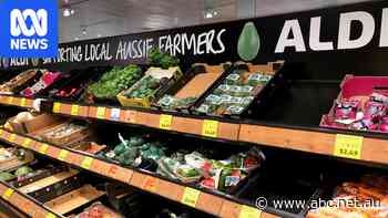Australia's second largest veggie company admits 'cartel conduct'